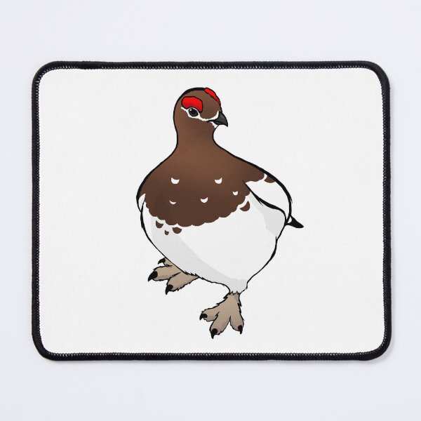 Item preview, Awebo Bird in Transitional Plumage - Meme Bird Digital Drawing designed and sold by Jakkuri.