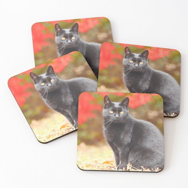 Item preview, Silent Elegance: A Cat in the Fall designed and sold by MB-CatPrints.