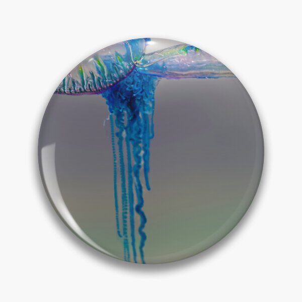 Item preview, Australian Blue Bottle Jellyfish two designed and sold by Normf.