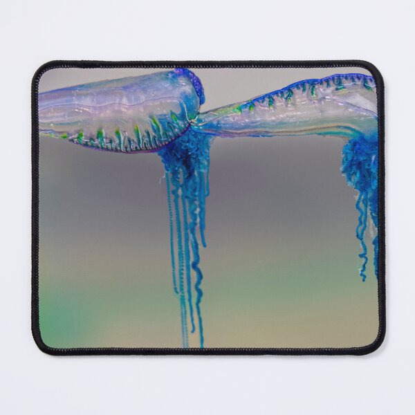 Item preview, Australian Blue Bottle Jellyfish two designed and sold by Normf.