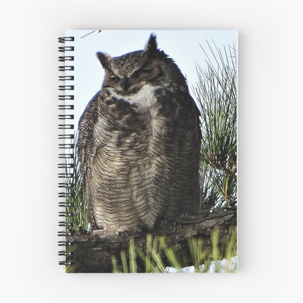 Item preview, Hooty Taking a Nap designed and sold by WonderingNature.