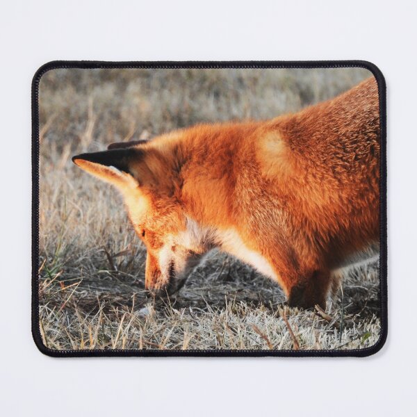 Item preview, Red Fox Hunting designed and sold by WonderingNature.