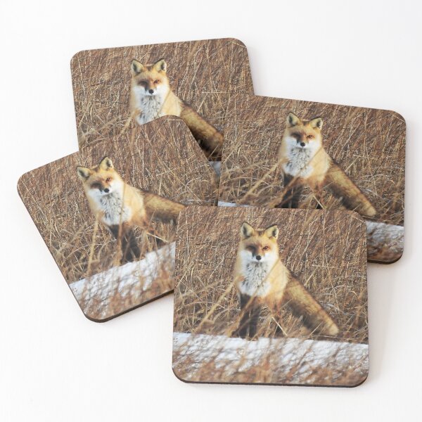Item preview, Snowy Fox designed and sold by WonderingNature.