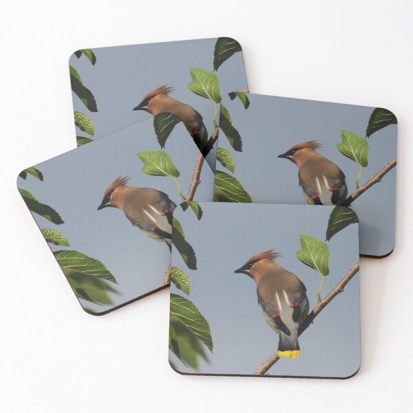 Item preview, Cedar Waxwing on Alert designed and sold by WonderingNature.
