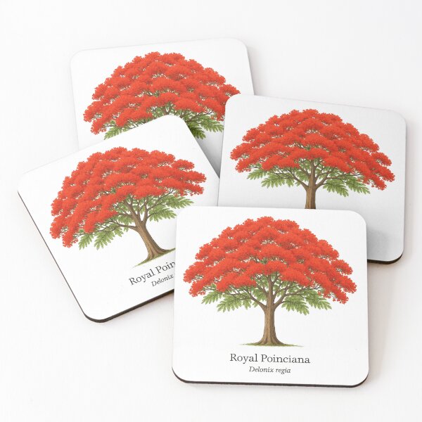 Item preview, Royal Poinciana – Delonix regia designed and sold by BloomKind.