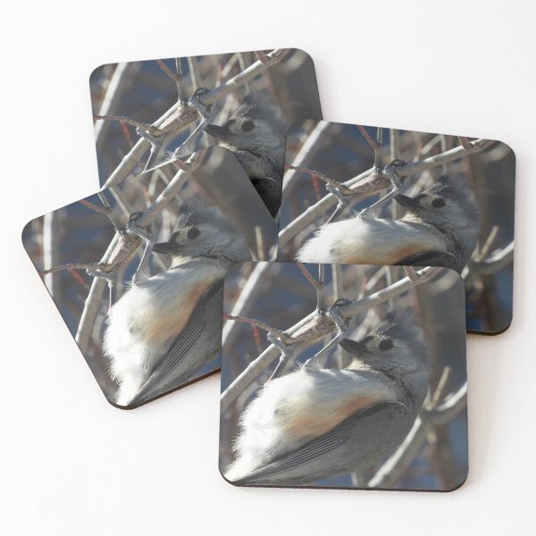 Item preview, Tufted Titmouse Exercising designed and sold by WonderingNature.
