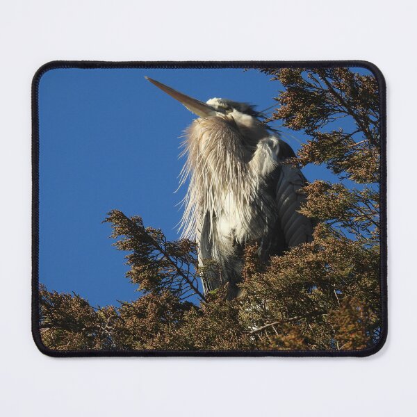 Item preview, Great Blue Heron High Above designed and sold by WonderingNature.