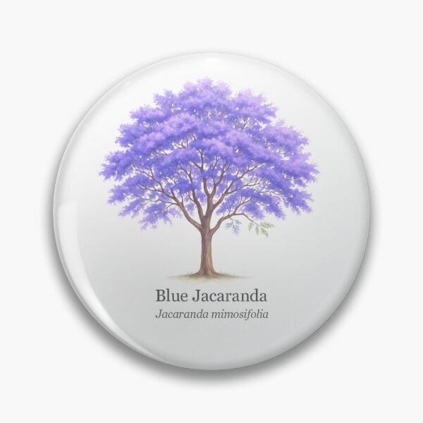 Item preview, Blue Jacaranda – Jacaranda mimosifolia designed and sold by BloomKind.