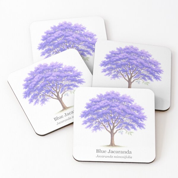 Item preview, Blue Jacaranda – Jacaranda mimosifolia designed and sold by BloomKind.