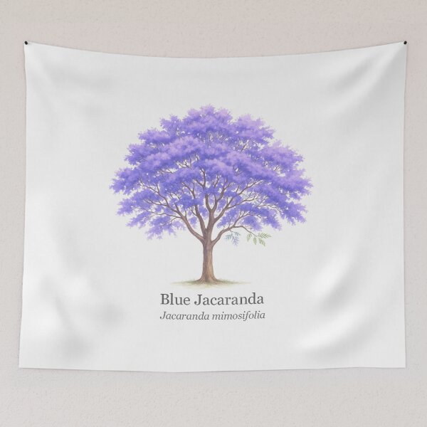 Item preview, Blue Jacaranda – Jacaranda mimosifolia designed and sold by BloomKind.