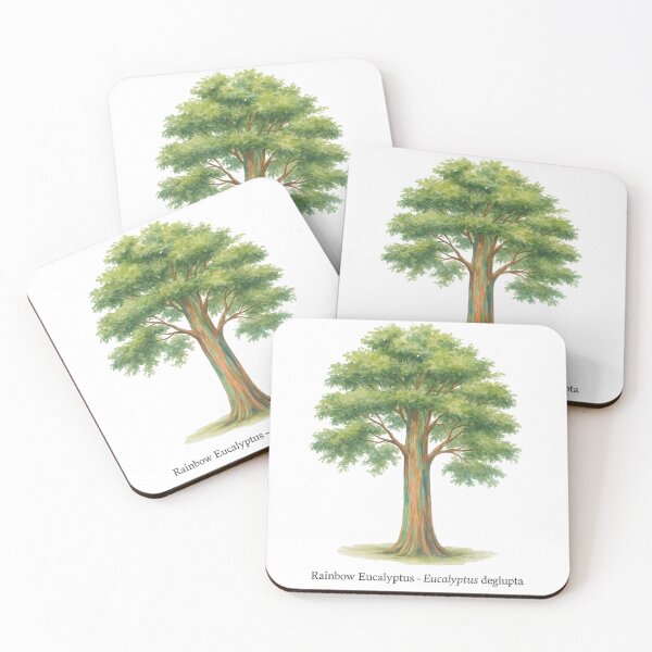 Item preview, Rainbow Eucalyptus – Eucalyptus deglupta designed and sold by BloomKind.