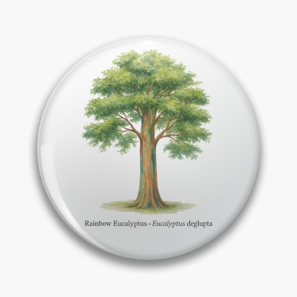 Item preview, Rainbow Eucalyptus – Eucalyptus deglupta designed and sold by BloomKind.