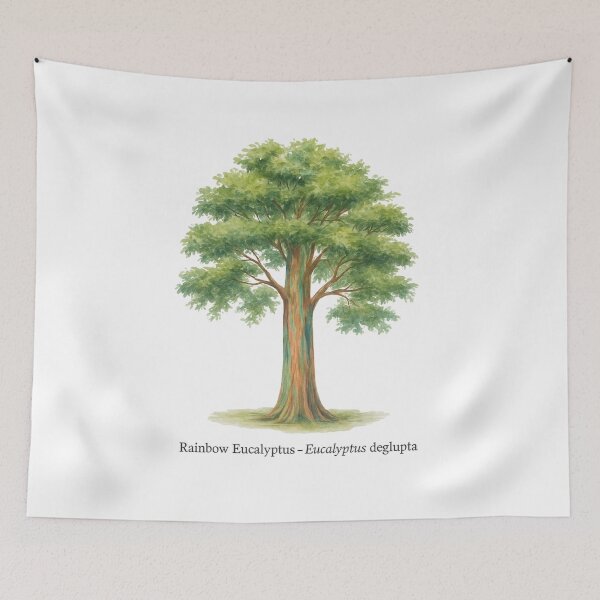 Item preview, Rainbow Eucalyptus – Eucalyptus deglupta designed and sold by BloomKind.