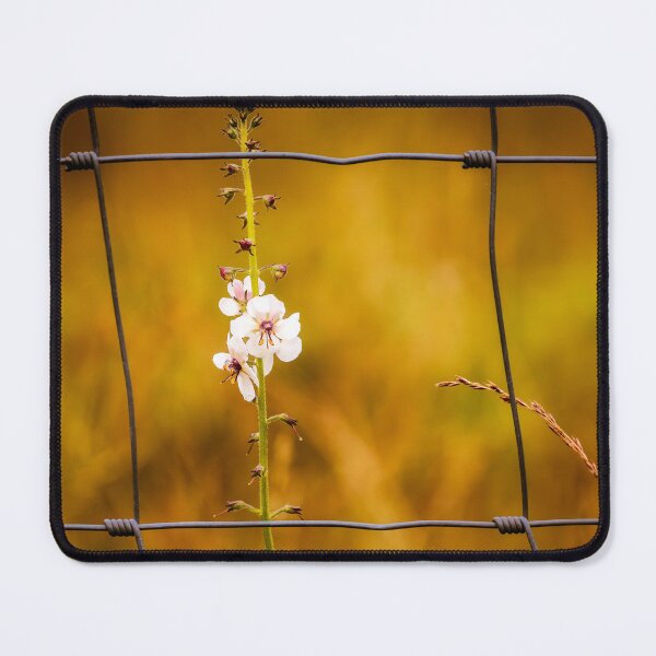 Item preview, Fence Frame designed and sold by Jim Love.