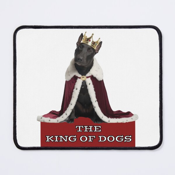 Item preview, BULL TERRIER KING OF THE DOGS BLACK  designed and sold by SmARTNiki.