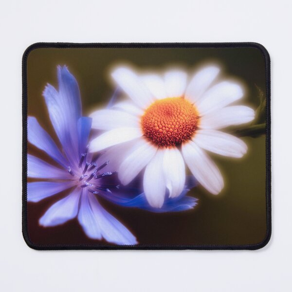 Item preview, Chicory And Daisy designed and sold by Jim Love.