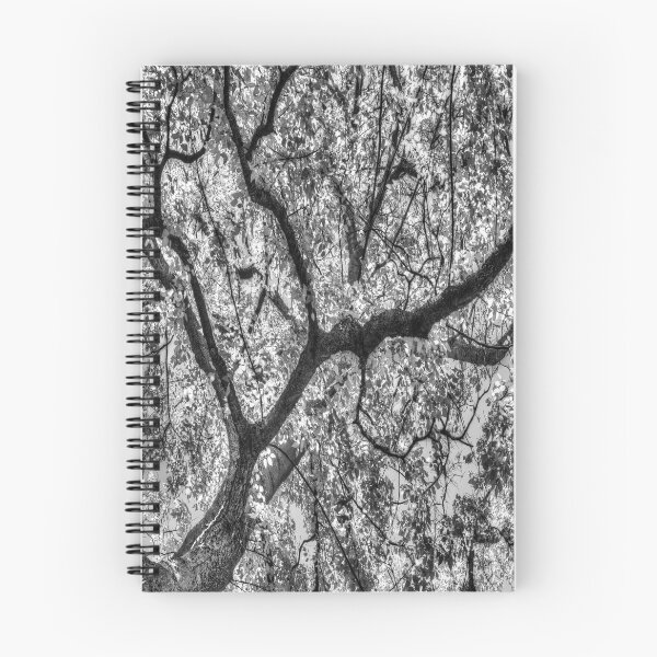 Item preview, Autumn Tree Canopy In Monochrome designed and sold by Londonimages.