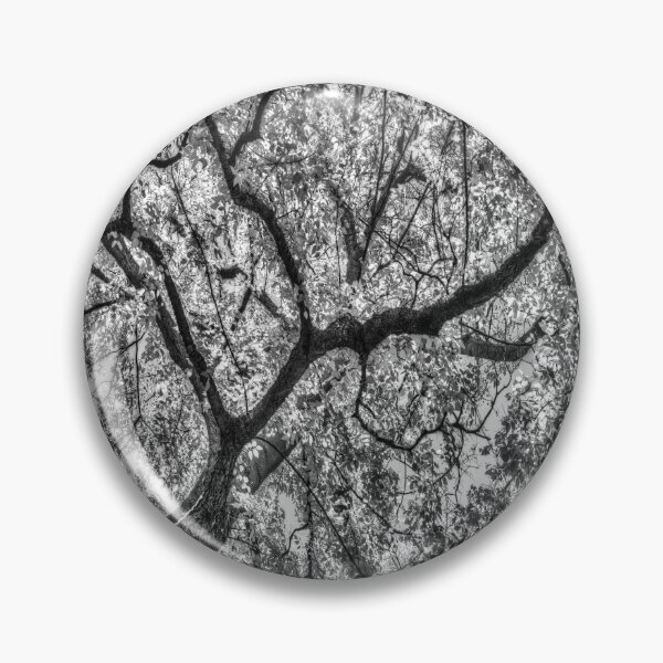 Item preview, Autumn Tree Canopy In Monochrome designed and sold by Londonimages.