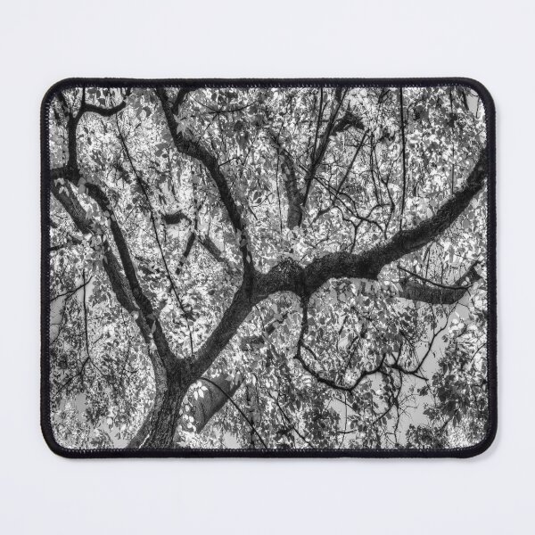 Item preview, Autumn Tree Canopy In Monochrome designed and sold by Londonimages.