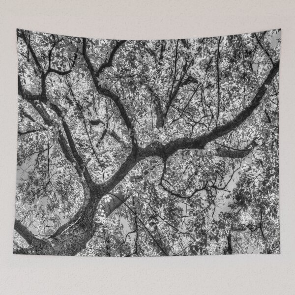 Item preview, Autumn Tree Canopy In Monochrome designed and sold by Londonimages.