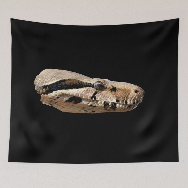 Item preview, Boa – Guardian of the Night / Swiss Artwork Photography designed and sold by Raphael Wolf.
