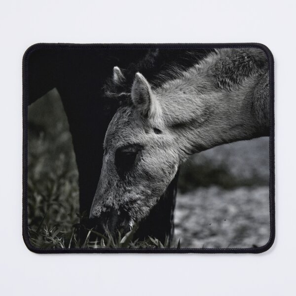 Item preview, Frozen reality - Beautiful nature 426 designed and sold by deep-sea-birds.