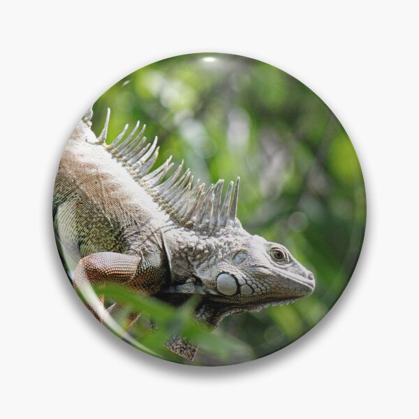 Item preview, Giant Iguana in Santa Marta designed and sold by ChimaHome.
