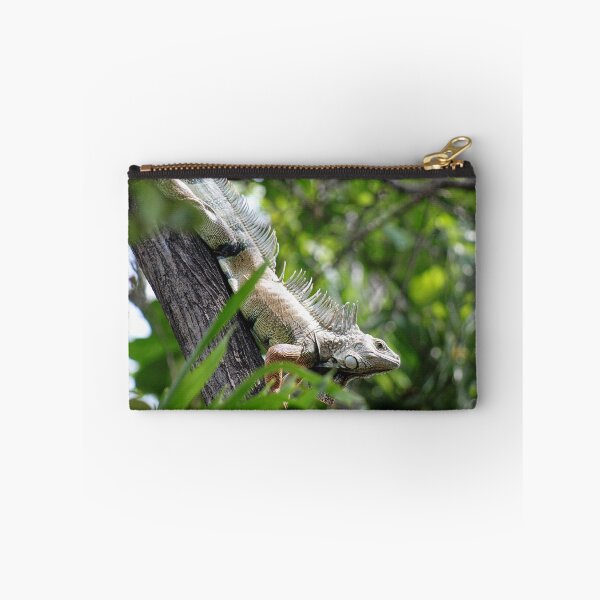 Item preview, Giant Iguana in Santa Marta designed and sold by ChimaHome.