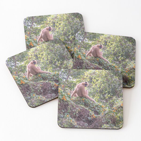 Item preview, Gibbon designed and sold by Magia del Norte.