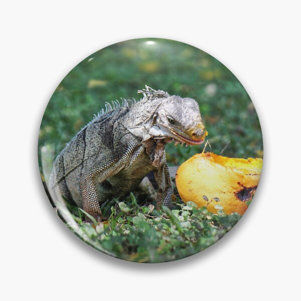 Item preview, A windfall for an Iguana designed and sold by ChimaHome.