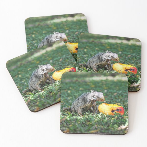 Item preview, A windfall for an Iguana designed and sold by ChimaHome.