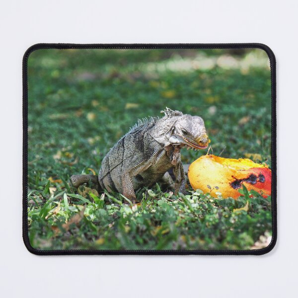 Item preview, A windfall for an Iguana designed and sold by ChimaHome.