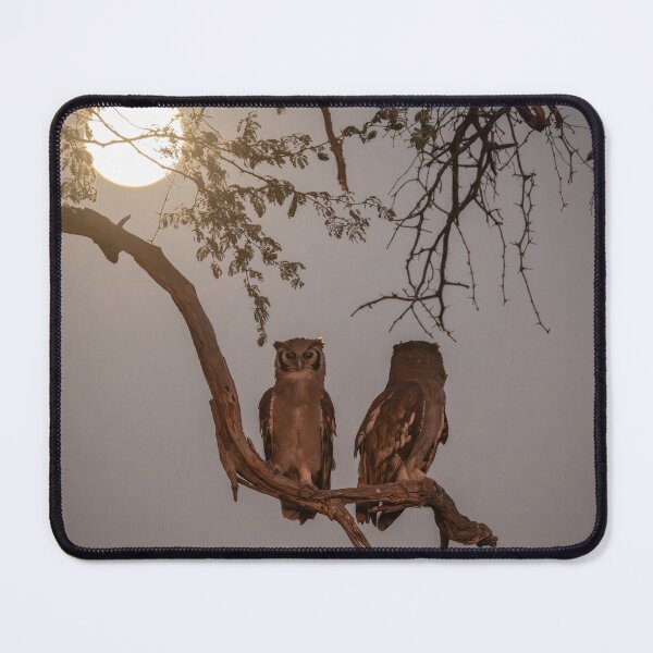 Item preview, Moonlit Eagle Owls And Full Moon In The African Night designed and sold by DavideAntoniani.