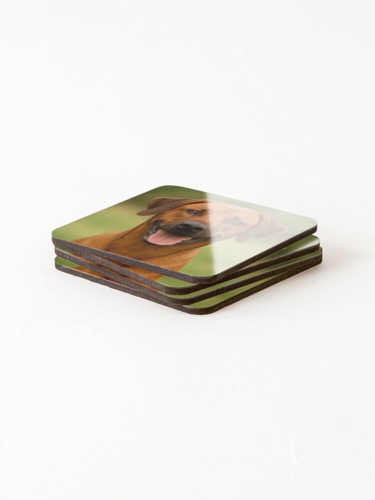 Thumbnail 4 of 5, Coasters (Set of 4), Rhodesian Ridgeback Dog designed and sold by BackgroundND.