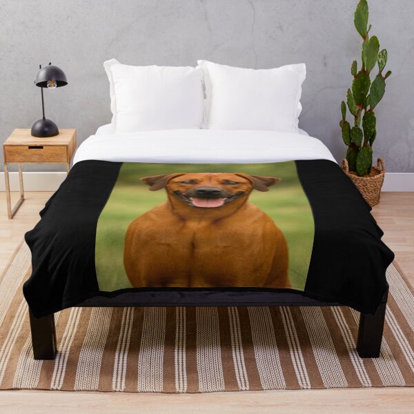 Aperçu de l'œuvre Chien Rhodesian Ridgeback créée et vendue par BackgroundND.