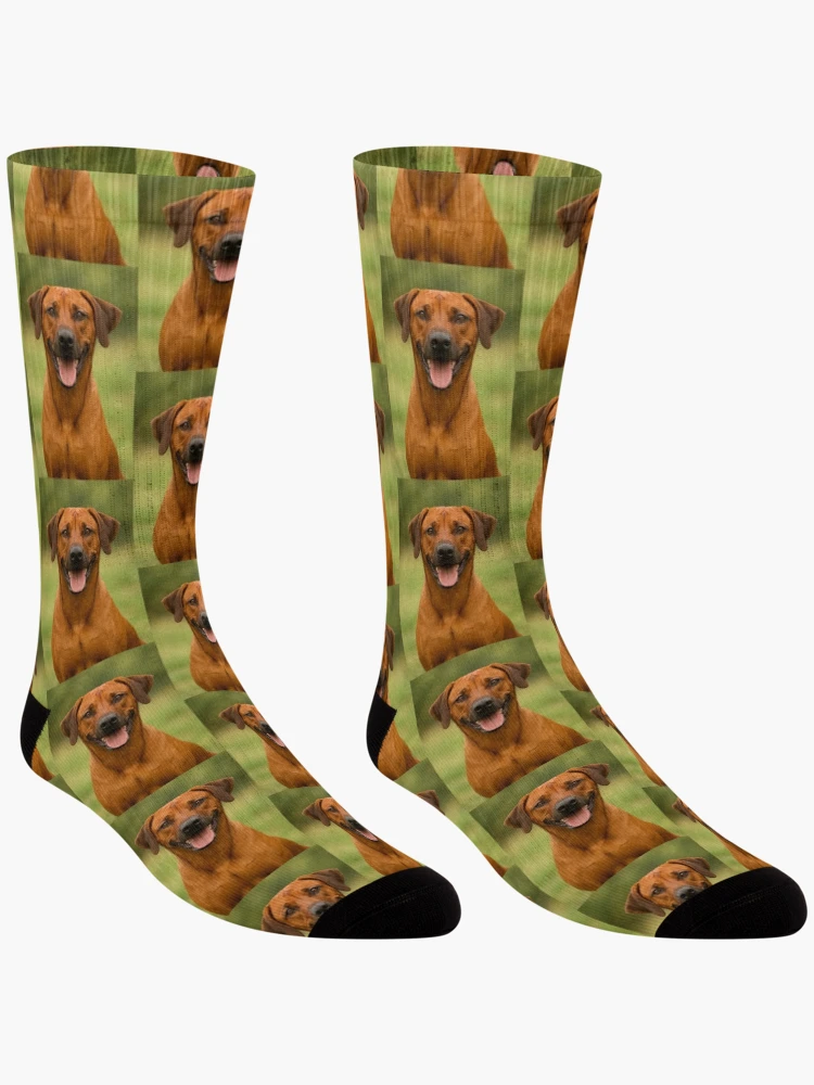 Thumbnail 3 of 5, Socks, Rhodesian Ridgeback Dog designed and sold by BackgroundND.