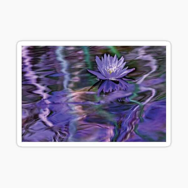 Lovely Lily in Lavendar Sticker
