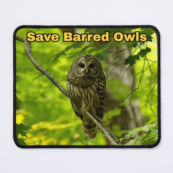 Item preview, Save the barred owls designed and sold by locustgirl.