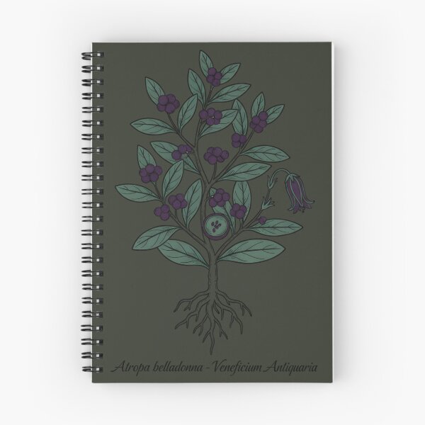 Item preview, Atropa Belladonna Diagram | Scientific Botanical Illustration | Latin Plant Print designed and sold by JACI'S STORE.