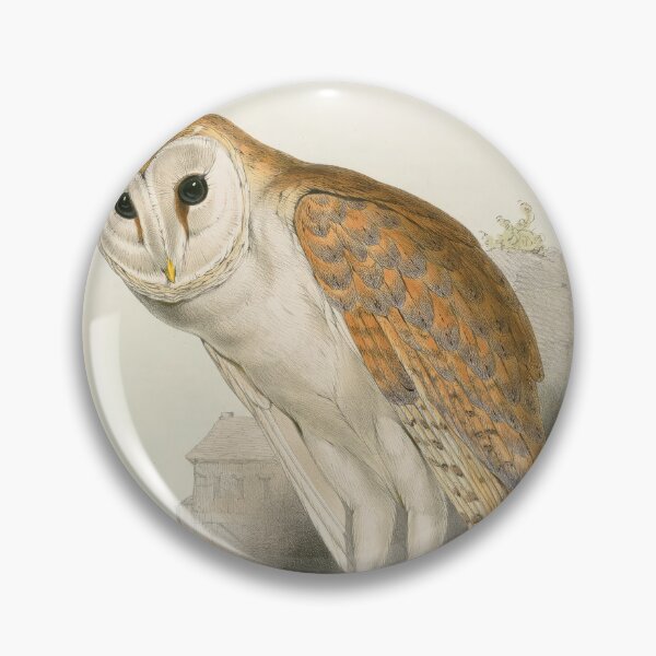 Item preview, Edward Lear Scops Owl Bird Scientific Illustration Barn Owl designed and sold by TeeARTHY.