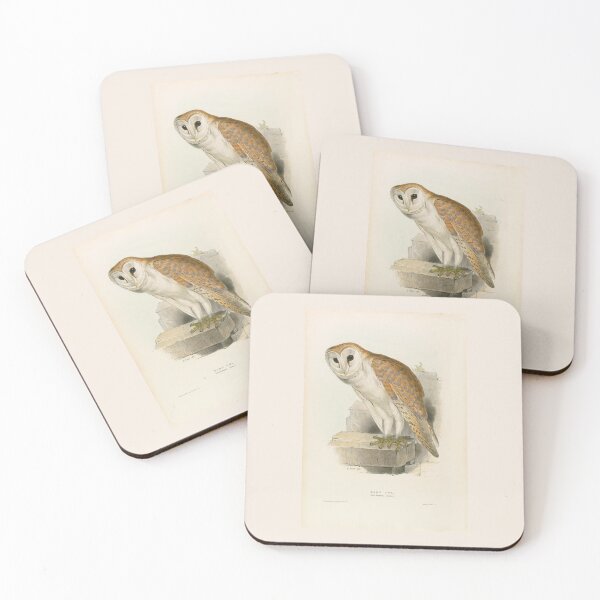 Item preview, Edward Lear Scops Owl Bird Scientific Illustration Barn Owl designed and sold by TeeARTHY.