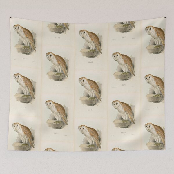 Item preview, Edward Lear Scops Owl Bird Scientific Illustration Barn Owl designed and sold by TeeARTHY.