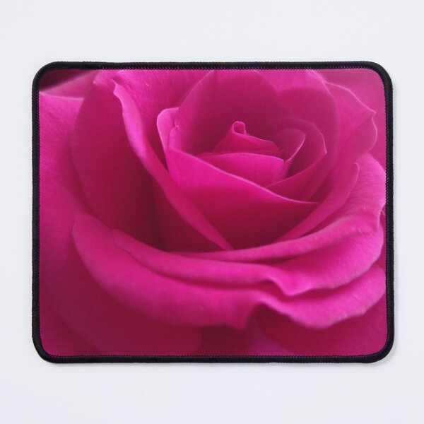 Item preview, Pink rose designed and sold by Carlitos-shop.