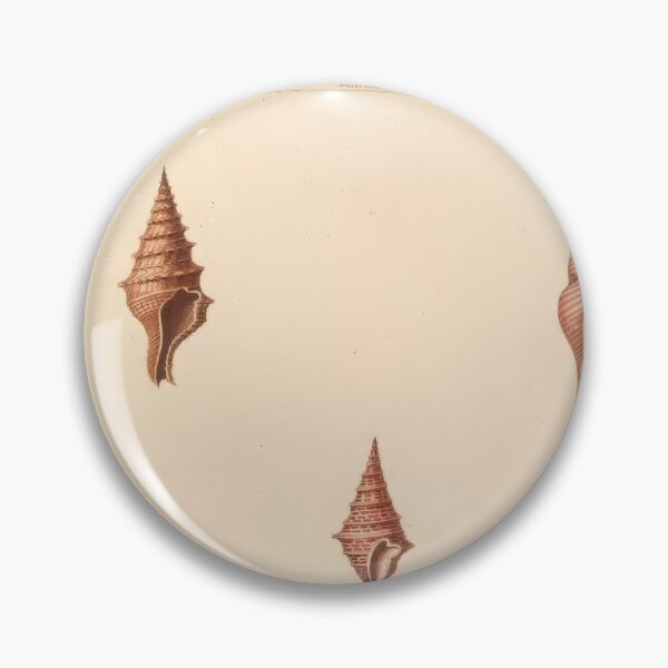 Item preview, Volutella Seashells Nautical Scientific Illustration designed and sold by TeeARTHY.