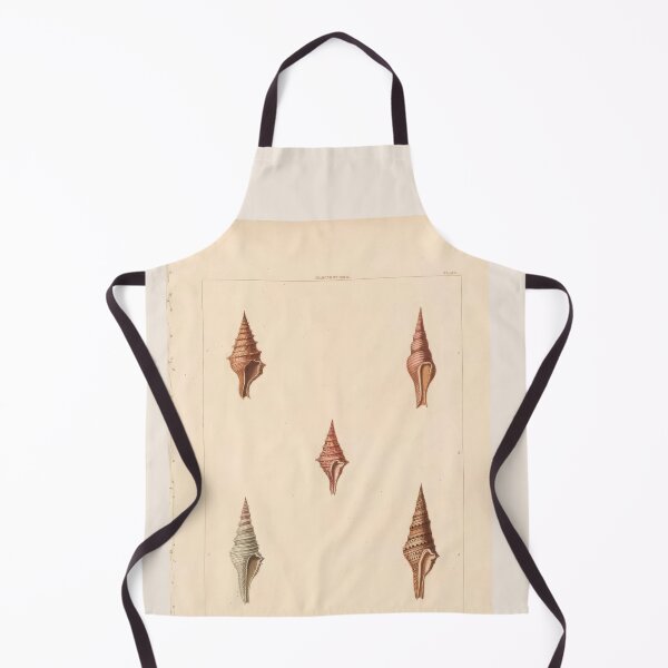 Item preview, Volutella Seashells Nautical Scientific Illustration designed and sold by TeeARTHY.