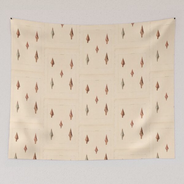 Item preview, Volutella Seashells Nautical Scientific Illustration designed and sold by TeeARTHY.