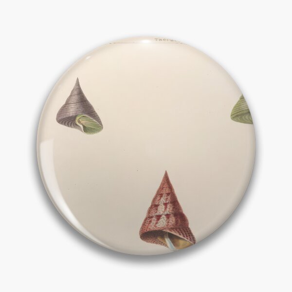 Item preview, Pleurotoma Seashells Scientific Nautical Illustration designed and sold by TeeARTHY.