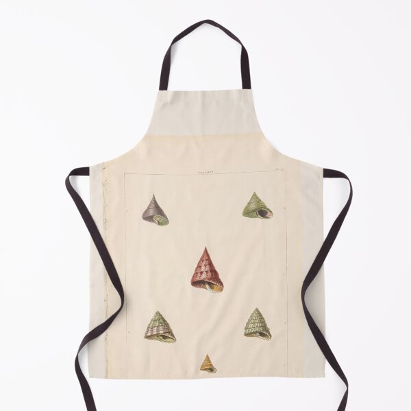 Item preview, Pleurotoma Seashells Scientific Nautical Illustration designed and sold by TeeARTHY.
