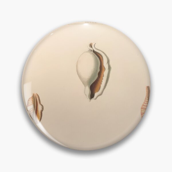 Item preview, Trochus Seashells Scientific Ocean Beach Illustration designed and sold by TeeARTHY.