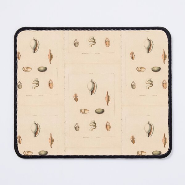 Item preview, Trochus Seashells Scientific Ocean Beach Illustration designed and sold by TeeARTHY.